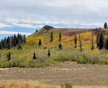 9.15.26 Monitor Pass - Amanda Carlson Mono County Tourism