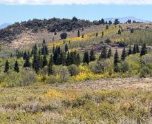 9.15.26 Monitor Pass - Amanda Carlson, Mono County Tourism