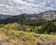 9.15.26 Sonora Pass - Emily Bryant, Mono County Tourism