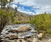 9.15.26 Walker River - Amanda Carlson, Mono County Tourism