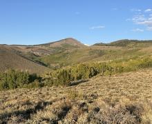 9.16.25 Lobdell Lake Road - Liz Grans, Mono County Tourism