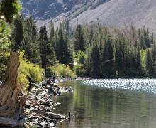 the shoreline of big virginia lake with people fishing