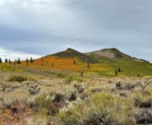 Views of red and gold on Sagehen Summit