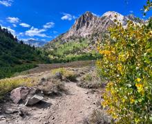 9.1.24 McGee fall colors - Allison Shaw 2