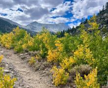 9.1.24 McGee fall colors - Allison Shaw