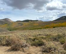 9.21.26 Lobdell - Stehpanie UrbanWolff, Mono County