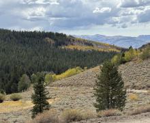 9.21.26 Lobdell - Stehpanie UrbanWolff, Mono County