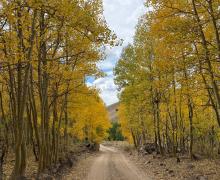 9.21.26 Lobdell - Stehpanie UrbanWolff, Mono County