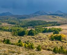 Aspen and mountains backset by dark thunderstorm skies