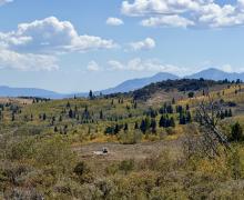 An RV driving on Monitor Pass with blue skies, clouds, and fall colors - green yellow and orange aspen - along with evergreens and browning grasses