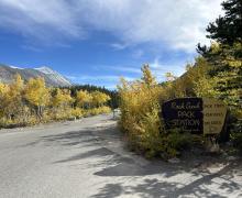 9-23-24_Rock Creek_Mono County Tourism_Fall Colors-1
