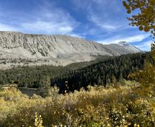 9-23-24_Rock Creek_Mono County Tourism_Fall Colors-1