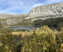 9-23-24_Rock Creek_Mono County Tourism_Fall Colors-1