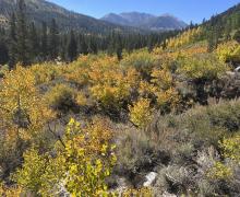 9.23.25 East Fork Campground