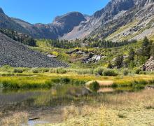 beaver pond with a small but wide water fall, colorful grasses and trees, and mountains