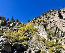 9-24-24_Tioga Pass_Mono County Tourism