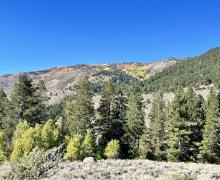 9-24-24_Twin Lakes Bridgeport_Mono County Tourism