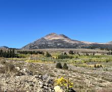 9-24-24_Virginia Lakes_Mono County Tourism