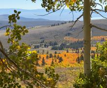9.24.25 Virginia Lakes Road - Amanda Carlson, Mono County Tourism