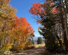 9.24.25 Virginia Lakes Road - Amanda Carlson, Mono County Tourism