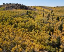 9.25.24 Monitor Pass, Sean Robinson, Mono County (2) fall colors