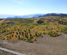 9.25.24 Monitor Pass by Sean Robinson, Mono County