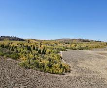 9.25.24 Monitor Pass by Sean Robinson, Mono County