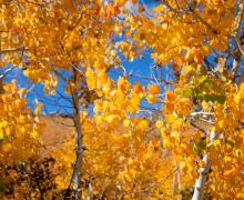 9.25.25 Sagehen Summit - Kim Espinosa, Mammoth Lakes Tourism