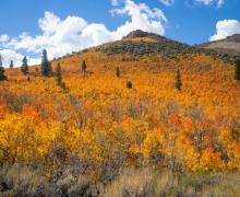 9.25.25 Sagehen Summit - Kim Espinosa, Mammoth Lakes Tourism