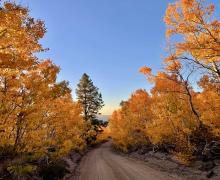9.22.24 Sagehen fall Colors by Catherine Hurdle