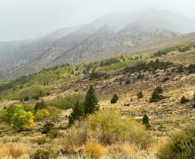 9.28.26 June Lake Loop - Amanda Carlson, Mono County Tourism
