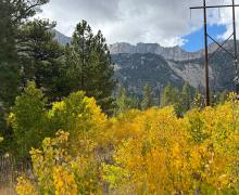 9.28.26 Lee Vining Canyon - Amanda Carlson, Mono County Tourism