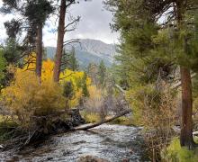 9.28.26 Lee Vining Canyon - Amanda Carlson, Mono County Tourism