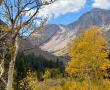 9.28.26 Lundy Canyon - Amanda Carlson, Mono County Tourism