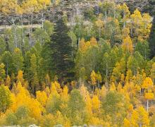 9.28.26 Virginia Lakes - Amanda Carlson, Mono County Tourism