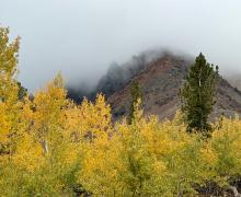 9.28.26 Virginia Lakes - Amanda Carlson, Mono County Tourism