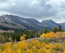 9.28.26 Virginia Lakes - Amanda Carlson, Mono County Tourism