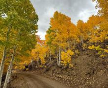 9.29.25 Lobdell - Amanda Carlson, Mono County Tourism