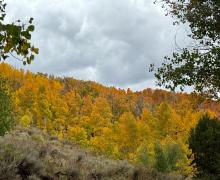 9.29.25 Lobdell - Amanda Carlson, Mono County Tourism