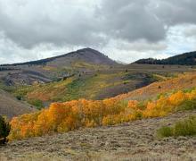 9.29.25 Lobdell - Amanda Carlson, Mono County Tourism