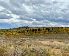 9.29.25 Monitor Pass - Amanda Carlson, Mono County Tourism