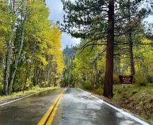 9.29.25 Sonora Pass - Amanda Carlson, Mono County Tourism