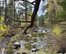 9.29.25 Sonora Pass - Amanda Carlson, Mono County Tourism
