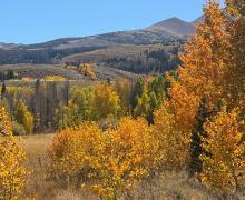 9.29.26 Dunderberg Meadow Road - Amanda Carlson, Mono County Tourism