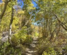 9.30.24 June Lake by Amanda Carlson with Mono County Tourism