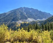 9.30.24 Lundy Canyon by Amanda Carlson with Mono County Tourism