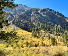 9.30.24 Lundy Canyon by Amanda Carlson with Mono County Tourism