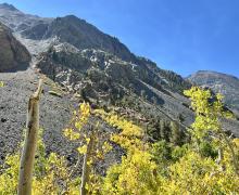 9.30.24 Lundy Canyon by Amanda Carlson with Mono County Tourism
