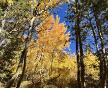 9.30.24 Virginia Lakes by Amanda Carlson with Mono County Tourism