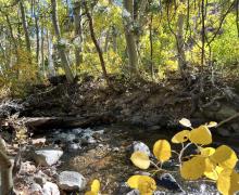 9.30.24 Virginia Lakes by Amanda Carlson with Mono County Tourism
